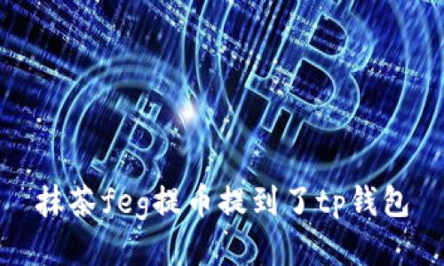 抹茶feg提币攻略：使用TP钱包进行提币操作，加密货币从抹茶feg转至TP钱包