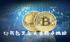 TP钱包如何查看持币地址