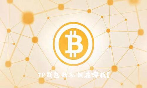 TP钱包的私钥在哪找?