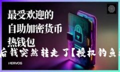 tp钱包被授权后钱突然转走了？授权钓鱼骗局如何