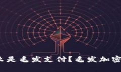 毛发加密货币资金：什么是毛发支付？毛发加密