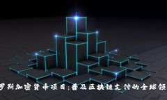 俄罗斯加密货币项目：普及区块链支付的全球领