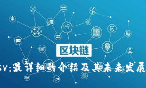 虚拟币bsv：最详细的介绍及其未来发展前景分析