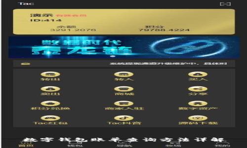 数字钱包账单查询方法详解