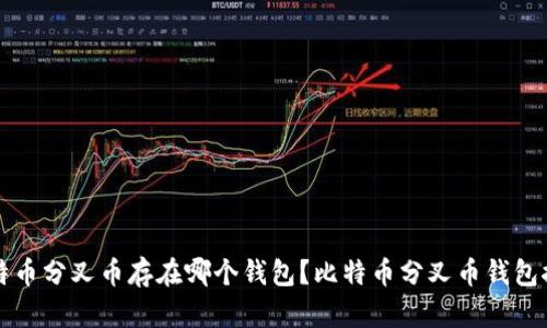 比特币分叉币存在哪个钱包?比特币分叉币钱包推荐