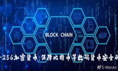 了解SHA-256加密货币：保障比特币等数码货币安全
