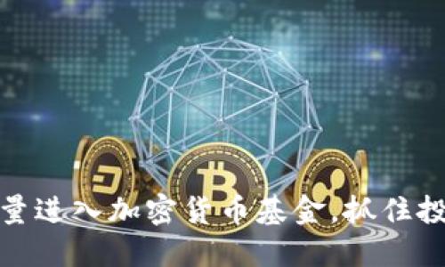 准备大量进入加密货币基金,抓住投资机会