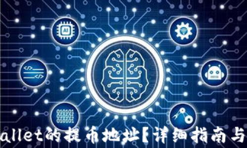 如何查看tpWallet的提币地址?详细指南与常见问题解答