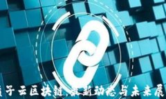 质子云区块链：最新动态与未来展望