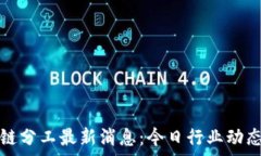  区块链分工最新消息：今日行业动态解析