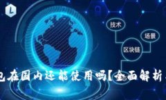 bongTP钱包在国内还能使用吗？全面解析与使用指