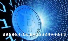 区块链垮链币：危机、挑战与未来前景的全面分