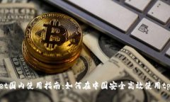 tpWallet国内使用指南：如何在中国安全高效使用