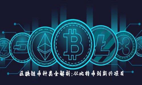 区块链币种类全解析：从比特币到新兴项目