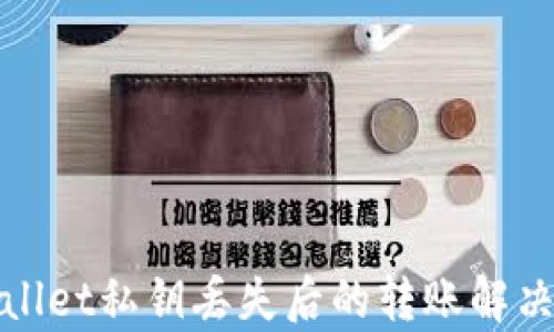 
tpWallet私钥丢失后的转账解决方案