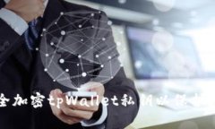 如何安全加密tpWallet私钥以保护数字资产
