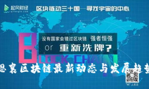 思襄区块链最新动态与发展趋势