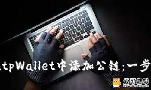 如何在tpWallet中添加公链：一步步指南