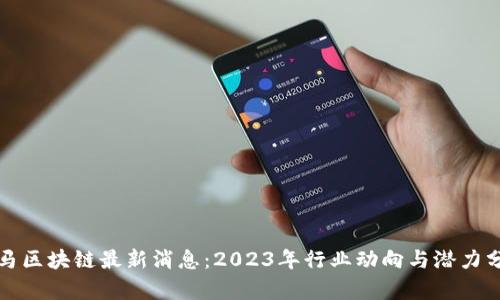 抢马区块链最新消息：2023年行业动向与潜力分析