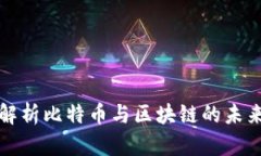 全面解析比特币与区块链的未来发展