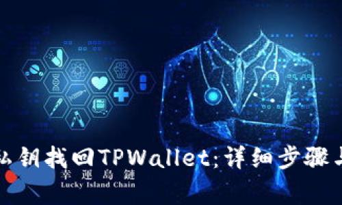如何使用私钥找回TPWallet：详细步骤与注意事项