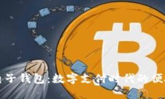 虚拟电子钱包：数字支付时代的便捷选择
