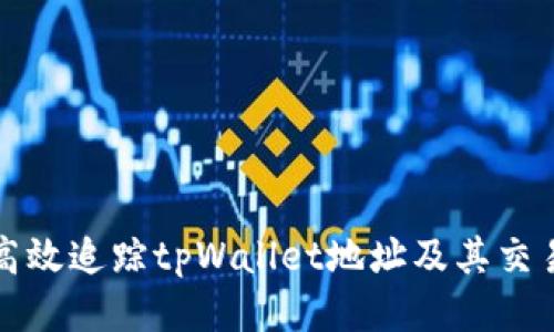 如何高效追踪tpWallet地址及其交易记录