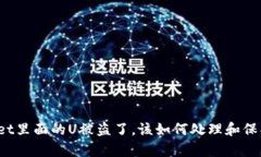 tpWallet里面的U被盗了，该如何处理和保护自己？