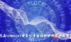 如何在tpWallet中导入币安链以管理您的数字资产
