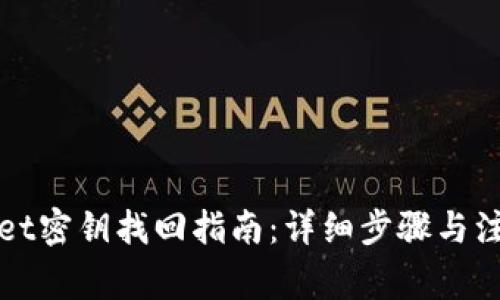 tpWallet密钥找回指南：详细步骤与注意事项