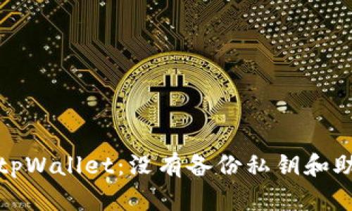 如何安全地恢复tpWallet：没有备份私钥和助记词的解决方案