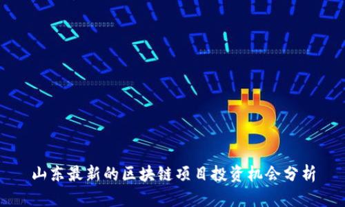 山东最新的区块链项目投资机会分析