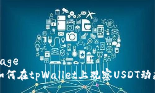 page
如何在tpWallet上观察USDT动态