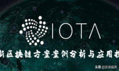 最新区块链方案案例分析与应用探讨