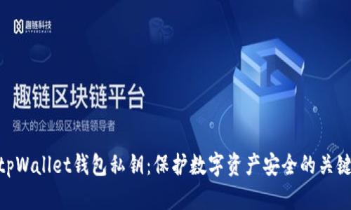 tpWallet钱包私钥：保护数字资产安全的关键