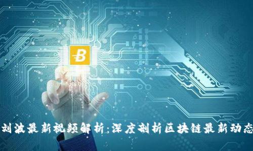 区块链专家刘波最新视频解析：深度剖析区块链最新动态与应用前景