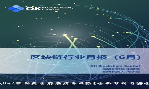 tpWallet软件是否存在病毒风险？全面分析与安全指南