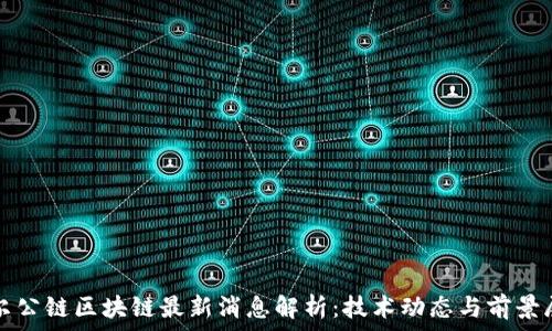   
波尔公链区块链最新消息解析：技术动态与前景展望