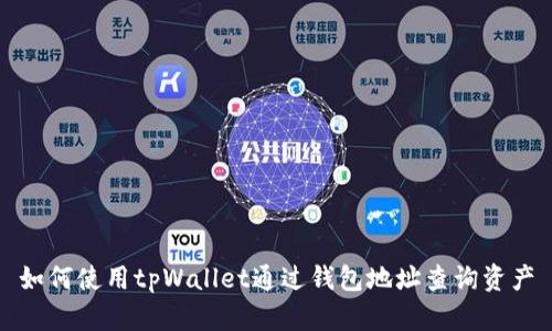 如何使用tpWallet通过钱包地址查询资产