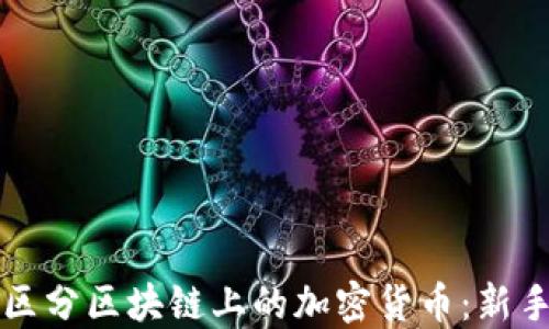 
如何区分区块链上的加密货币：新手指南