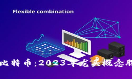 区块链与比特币：2023年龙头概念股全面解析
