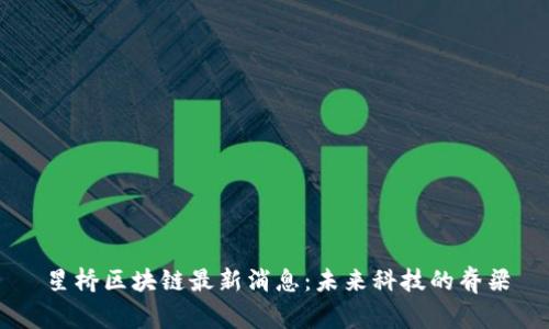 星桥区块链最新消息：未来科技的脊梁
