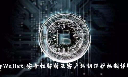 tpWallet：安全性解析及客户私钥保护机制详解