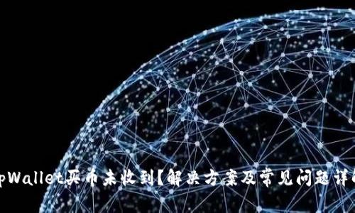 tpWallet买币未收到？解决方案及常见问题详解