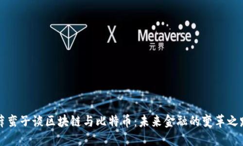 薛蛮子谈区块链与比特币：未来金融的变革之路