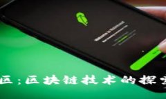 币乎社区：区块链技术的探索与应用