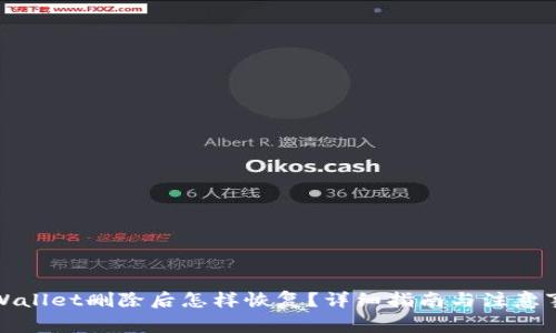 tpWallet删除后怎样恢复？详细指南与注意事项