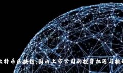 比特币区块链：国内上市公司的投资机遇与挑战
