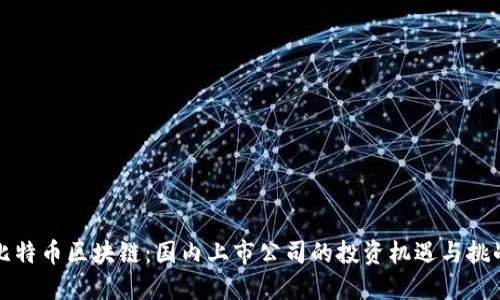 比特币区块链：国内上市公司的投资机遇与挑战