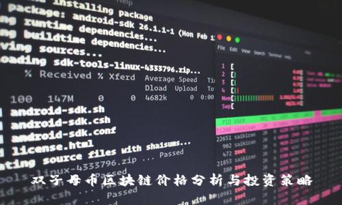 双子母币区块链价格分析与投资策略
